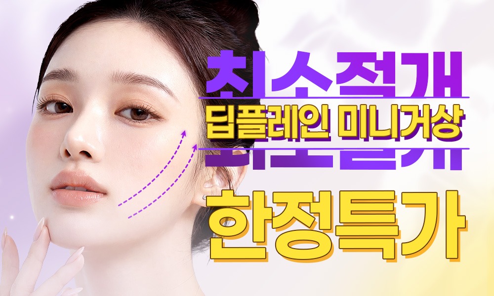 딥플레인 미니거상. 포니테일 리프팅 한정 특가
